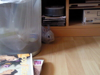 Nutzerbild von Sunshine712