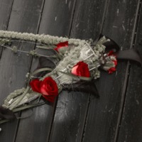 Nutzerbild von Lara
