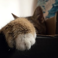 Nutzerbild von Marion-Sch