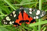 Nutzerbild von madame-butterfly