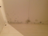 Nutzerbild von EasyWay