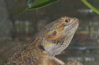 Nutzerbild von AWI71