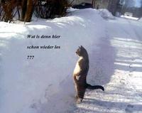 Nutzerbild von MarkusPer