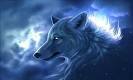 Nutzerbild von blackwolfe