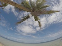 Nutzerbild von bloggerin13