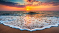 Nutzerbild von Ocean20