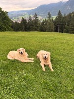 Nutzerbild von ScoobyStanley