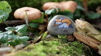 Nutzerbild von Hizle