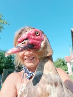 Nutzerbild von laura von S 