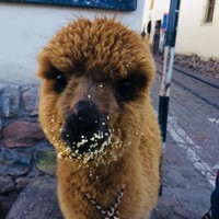 User profile image