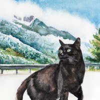 Nutzerbild von Marco suedtirol 