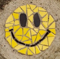 Nutzerbild von nokriba