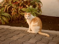 Nutzerbild von ClausiMupi