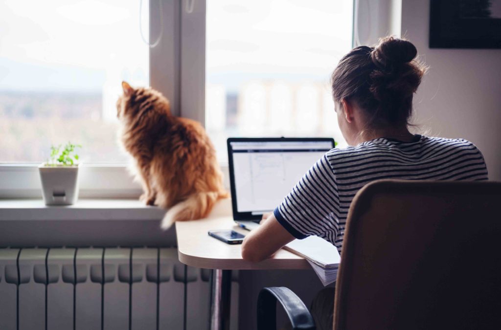 Jobs als virtuelle Assistenz finden